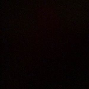 Meet your Posher, Wyatt